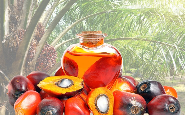 Промышленные пальмовое масло